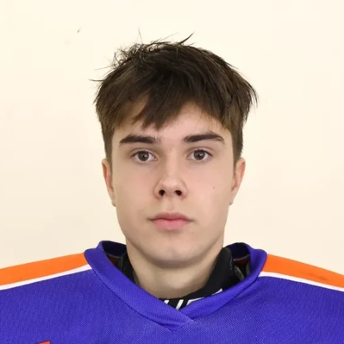 Васильев Иван Игоревич