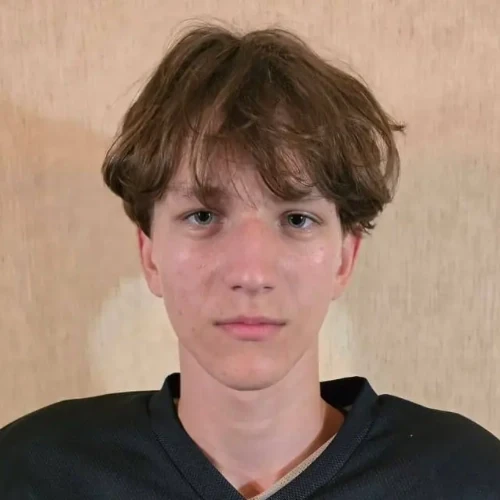 Громов Данила Иванович