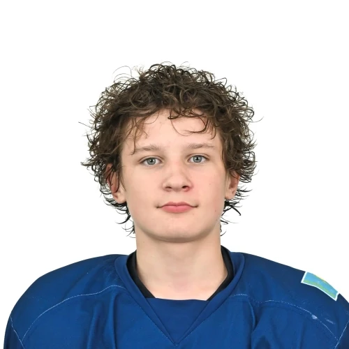 Глущенко Димид