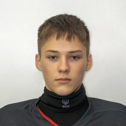 Веденин Роман Дмитриевич