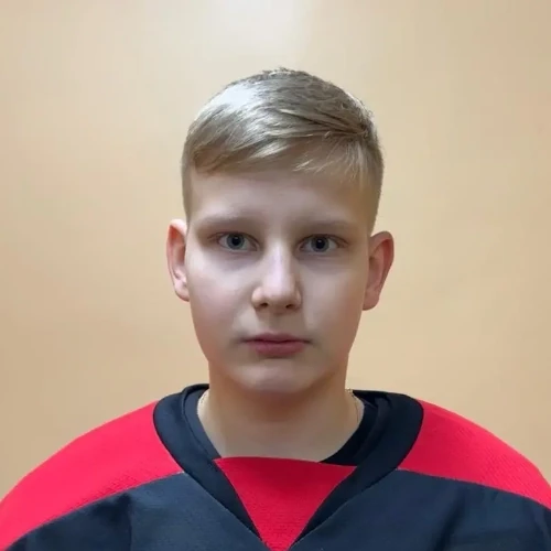Салеев Дмитрий Александрович