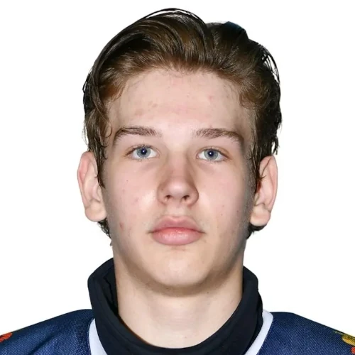 Серегин Сергей Александрович