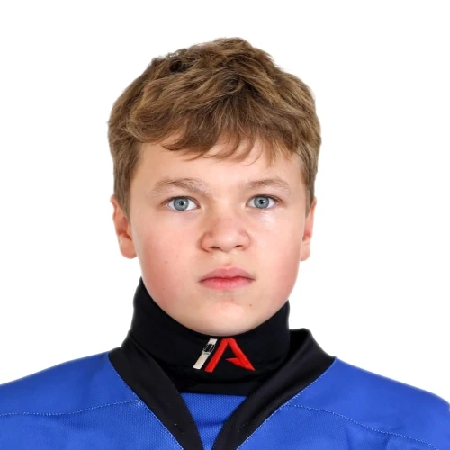 Домнин Михаил Анатольевич