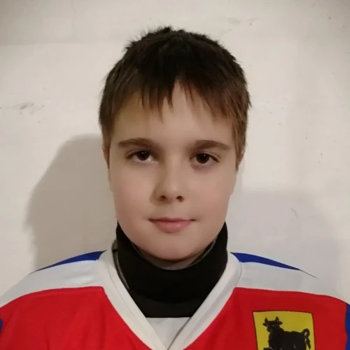 Шилин Артем Дмитриевич