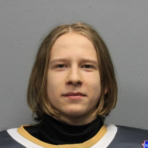 Степин Кирилл Артурович