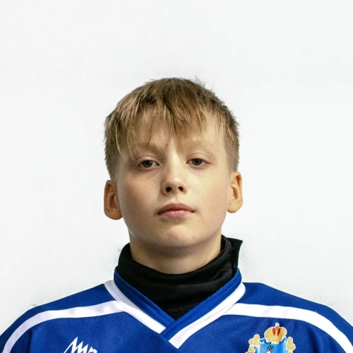 Линев Арсений Дмитриевич