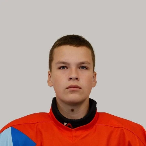 Шепелев Георгий Александрович