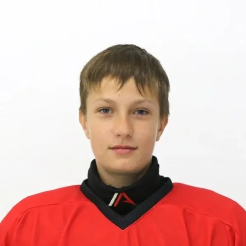Баяндин Лев Александрович