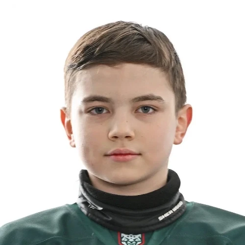 Степанов Александр Александрович