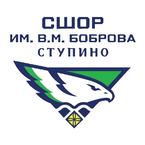 СШОР Им. В.м. Боброва
