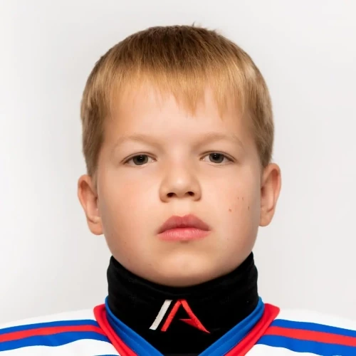 Аникин Григорий Сергеевич