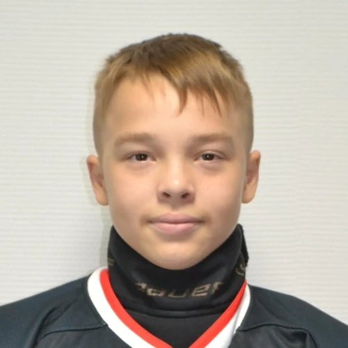Альмухаметов Данис Айдарович
