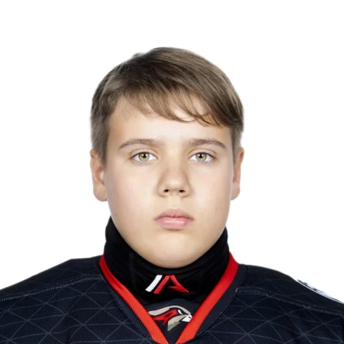 Воложанинов Дмитрий Александрович