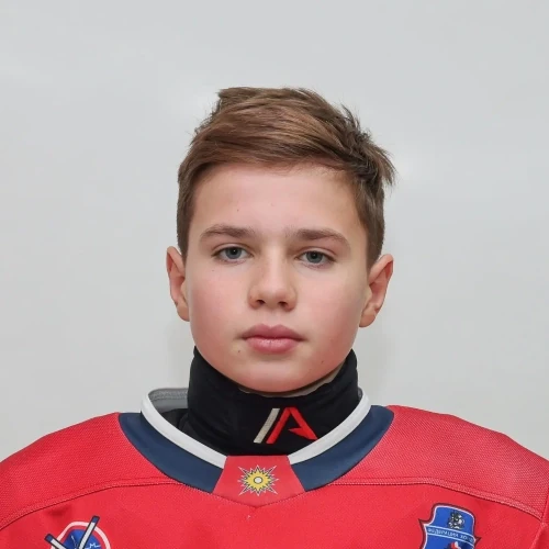 Домогатский Алексей Сергеевич