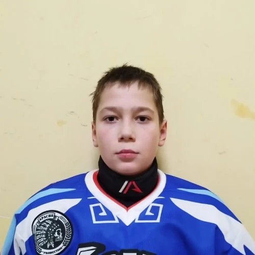 Дубровский Денис Антонович