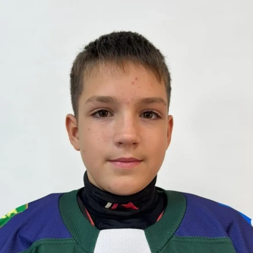 Красильников Денис Андреевич
