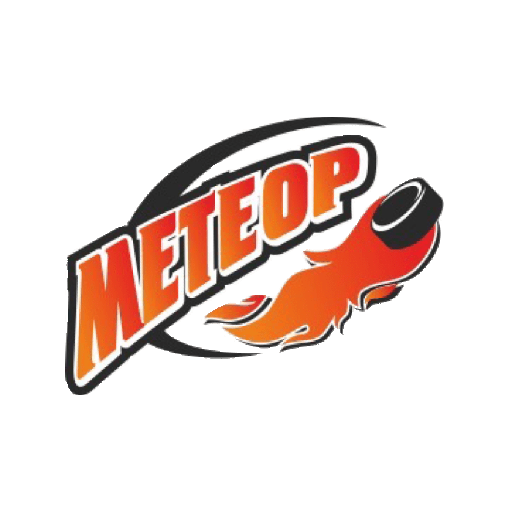 Метеор 2008