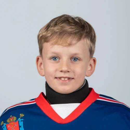 Матвеев Давид Денисович