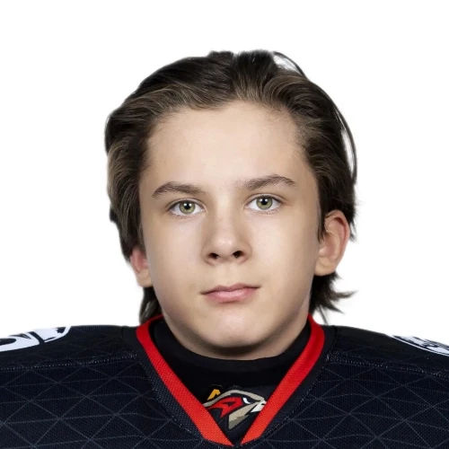 Бойко Илья Сергеевич