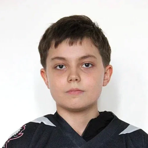 Платонихин Артем Николаевич