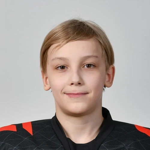 Дикарев Захар Сергеевич