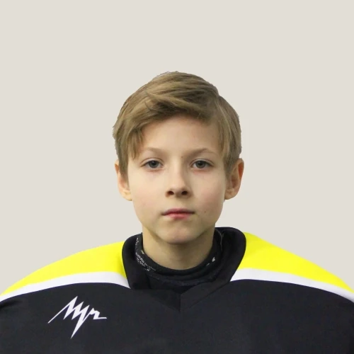 Чесноков Николай Алексеевич