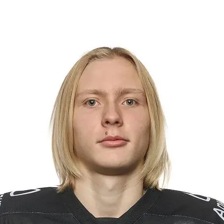 Николаев Лев Александрович