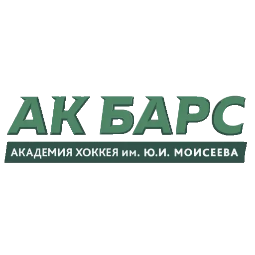 Академия Ак Барс