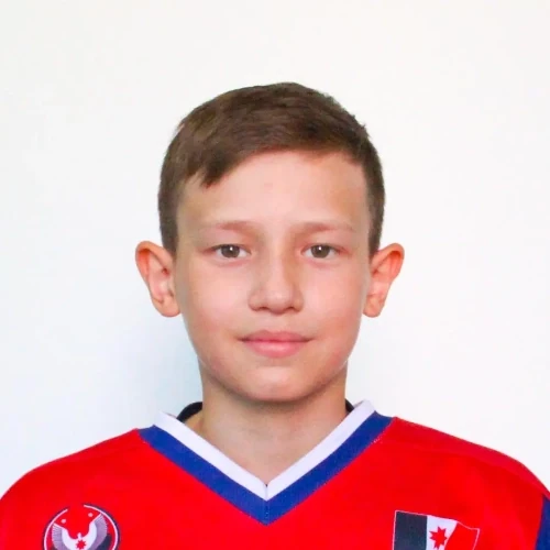 Чистяков Денис Дмитриевич