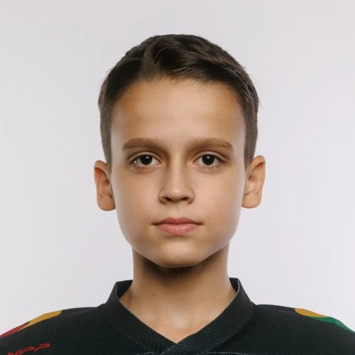 Шелиманов Лев Ильич