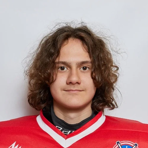 Николаев Андрей Юрьевич