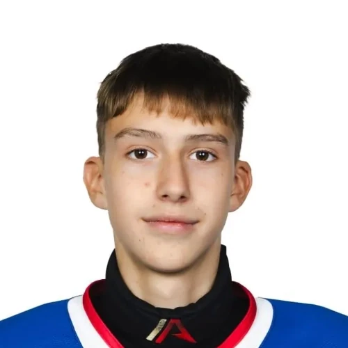 Решетин Артём Андреевич
