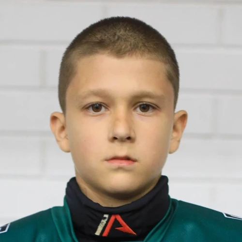 Гатин Амир Айдарович