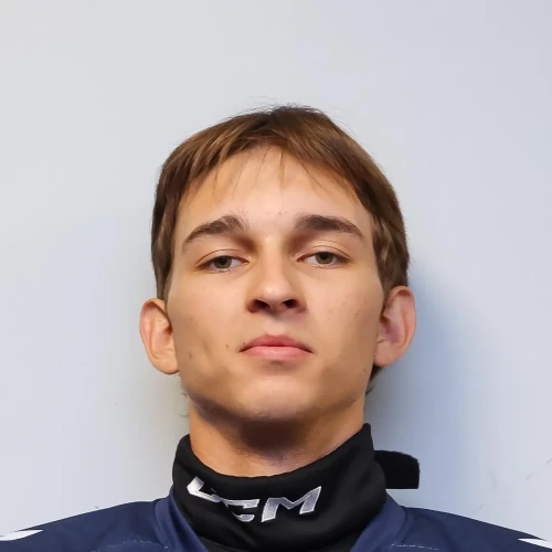 Куликов Денис Александрович