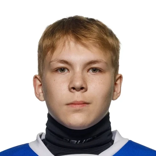 Алексеев Роман Иванович
