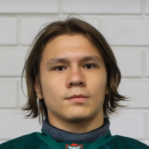 Каримов Артем Динарович