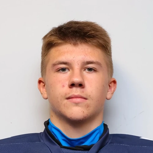 Кадомцев Глеб Алексеевич
