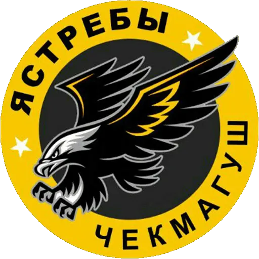 Ястребы