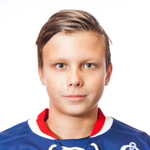 Ильин Максим Сергеевич