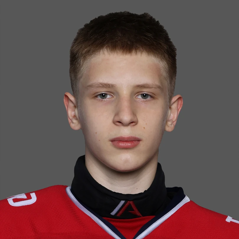 Колесников Ярослав Сергеевич