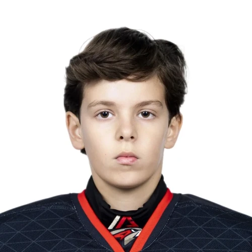 Левин Данил Юрьевич