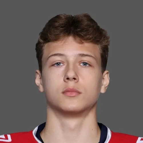 Виноградов Александр Витальевич