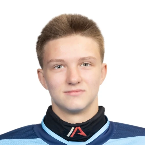 Мельников Денис Валерьевич