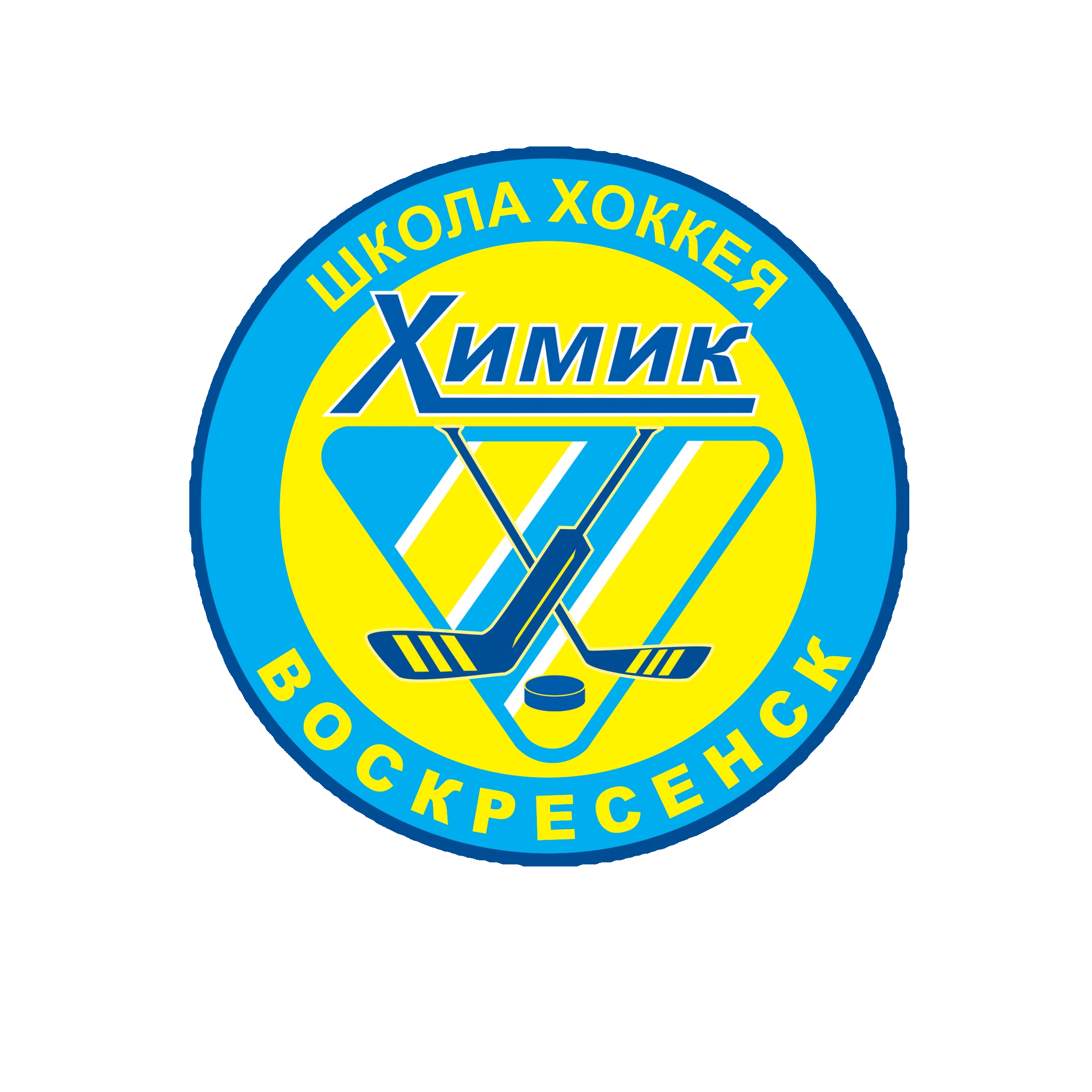 Химик 2010
