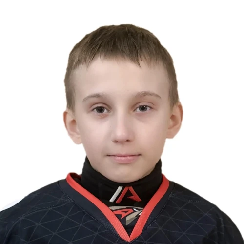 Шестаков Давид Сергеевич