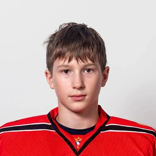 Сабаев Никита Вячеславович