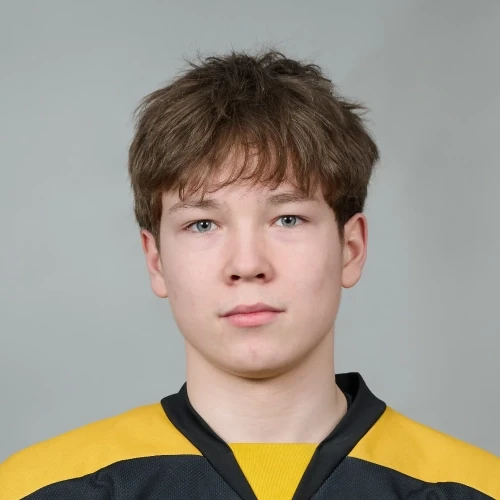 Коровин Сергей Владимирович