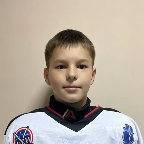Шайхутдинов Дамир Ренарович