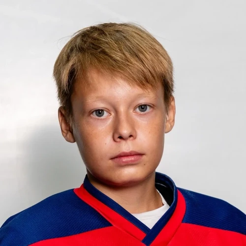 Яковлев Роман Васильевич