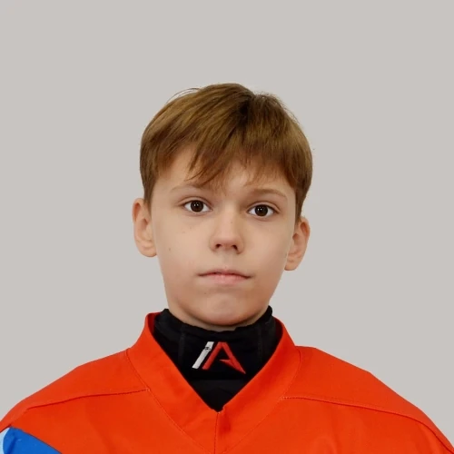 Вдовицын Андрей Николаевич
